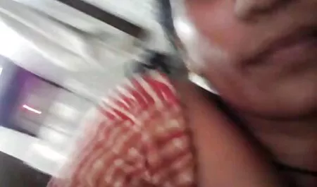 Keldai adalah perempuan gila batang rendah